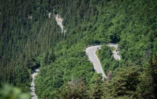 rando sorgenti (98 di 236)